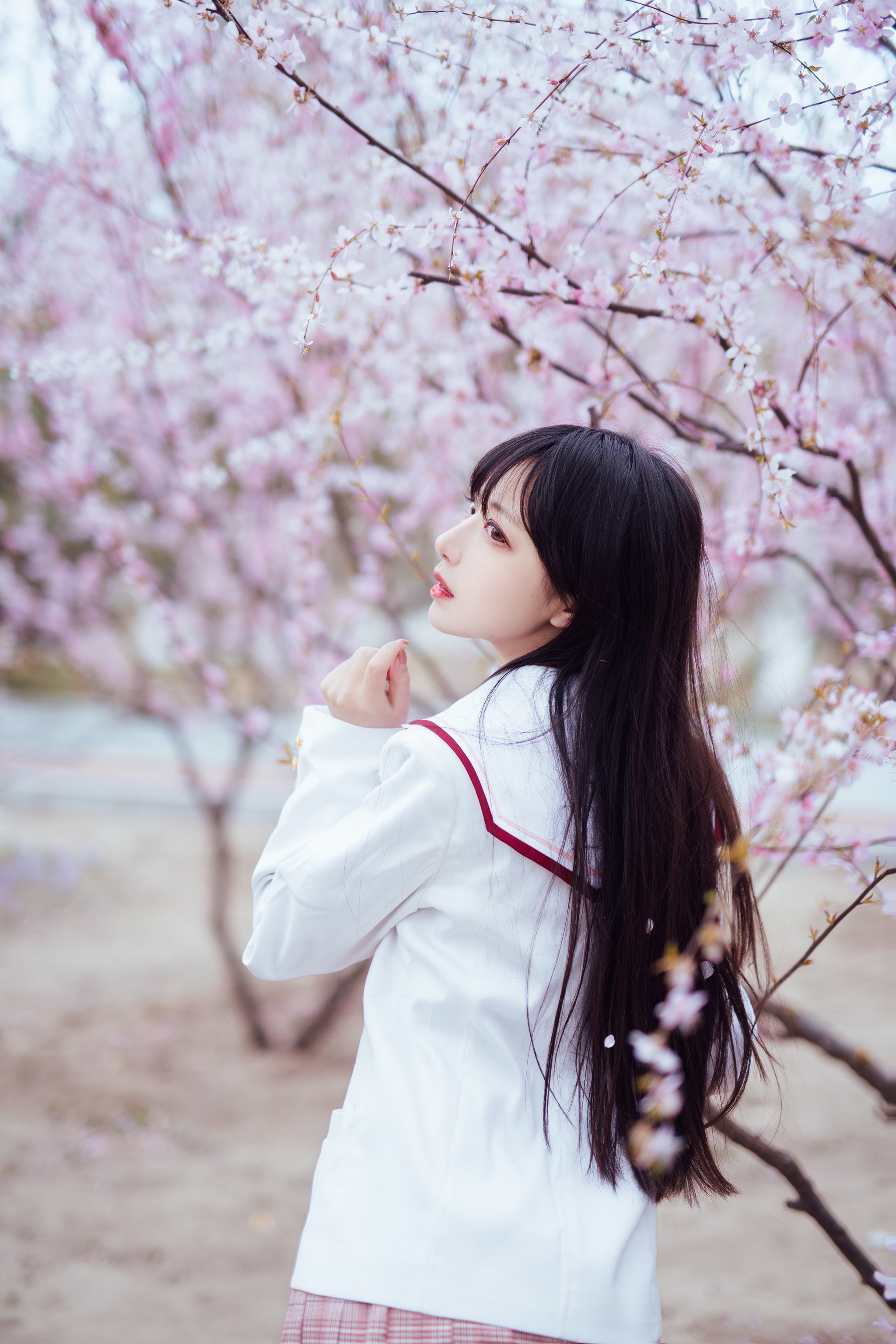 图片[1]-Shika小鹿鹿 – NO.047 樱花 [13P]-XikXak
